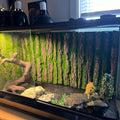 PINVNBY Reptile Terrarium Cork Background, Bearded Dragon Tank Bark Backdrop Wall Decor with Artificial Moss for Gecko L