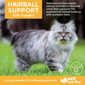 Vet Worthy Cat Hairball Remedy - Preventative Hairball Support for Cats with Pumpkin and Psyllium Husk for Added Fiber - Aids in Daily Cat Digestive Support & Furball Control - 60ct