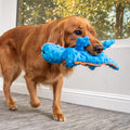 goDog Gators Squeaky Plush Dog Toy with Chew Guard Technology, Durable Fabric & Squeaker for Active Play