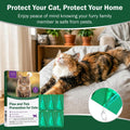 Flea and Tick Prevention for Cats & Kittens - Cat Flea and Tick Treatment – Topical Waterproof and Fast-Acting & Long - 