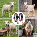 2 Pack Goat Collars with Bells, Groovy Retro Pattern for Goats and Lambs