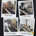 AlphaPaw - Original Natural Wood PawRamp for Small & Large Dogs - No Assembly Required - Adjustable Height Pet Ramp for 