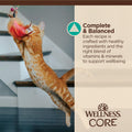 Wellness CORE Tiny Tasters Flaked Adult Wet Cat Food, Natural, Protein Rich, Grain Free, Tuna and Salmon Recipe, 1.75 oz, Pack of 12 Pouches