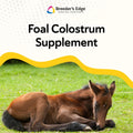 Breeder's Edge Nurture Mate Colostrum Supplement for Newborn Foals, 30ml