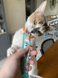 Rena's Recipe Kitty Licks Lickable Cat Treats Variety Pack 28 Tubes Creamy Cat Treat Purée 7 Flavors Tuna Chicken Grain Free Cat Squeeze Treats
