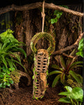 Crested Gecko Hide, Hanging Moss-Style Reptile Hideout with Rope Ladder, Crested Gecko Tank Accessories for Vertical Ter
