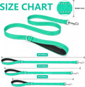 Reflective Dog Leash with Padded Handle for Medium Large Dogs