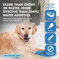 LIQUID-VET Advanced Teeth & Gums Supplements for Dogs | Dental Care for Dogs | Oral Mouth Care | Tartar + Plaque + Gingi