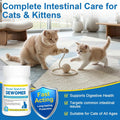 Dewormer for Cats and Kittens, Broad Spectrum for Worms，Removal of Tapeworms, Hookworms & Roundworms, 50 Tablets