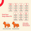 BellyGuard Dog Surgery Recovery Suit, Male Female After Spay Neuter Onesie