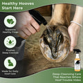 Pure Sole Hoof Cleanse Thrush Treatment Spray for Horses, 16 oz