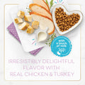 Purina Fancy Feast Kitten With Savory Chicken and Turkey Kitten Dry Food - 7 lb. Bag