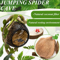 Jumping Spider Habitat Accessories Enclosure Habitat Accessories Jumping Spider Web Climbing and Feeding Platforms with 