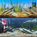 Aquarium Stone Natural Slate Stream Turtle Tank Rocks 3-7 inches Fish Rock for Aquarium Aquascaping Shrimp Tanks Amphibi
