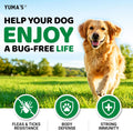 Flea and Tick Prevention for Dogs, 170 Chews, Natural Oral Supplement