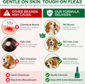 Flea and Tick for Medium Dogs 23-44 lbs, 6 Topical Doses