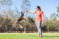 Chuckit! Birthday Fetch Ball, Medium 2.5in, for Dogs 20-60lbs