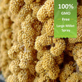 HATORTOP Spray Millet for Birds 5LB - All Natural Sun-Dried Healthy Treat, Millet Spray for Parakeets, Parrots, Lovebirds, Cockatiels Food, 100% Non-GMO High Protein Fresh Bird Seed