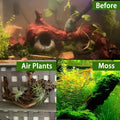 Tfwadmx Natural Driftwood for Aquarium Decor 5-8" Fish Reptile Tank Decor