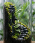 Terrarium Modeling Soil Mix, Sculpting Terrarium Substrate, Sticky Clay Soil for Moss Walls, Vertical Natural-Looking Ba