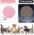 Rypet Reflective Cat Long Leash 15 FT Escape Proof Walking Leads Yard Long Leashes Durable Safe Personalized Extender Leash Traning Play Outdoor for Kitten, Puppy, Rabbit and Small Animals(Pink-S)