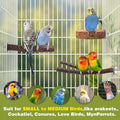 8PCS Bird Perches Set Natural Apple Wood Bird Cage Accessories Wooden Parrot Stand Hardwood Branches for Parakeets, Budg