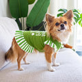 XPUDAC 4 Pack Dog Dress Girl Clothes for Small Dogs Girl Flower Dresses for Dogs Apparel Colorful Small Dog Clothes Female (S, 4 Flower)