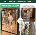 FXW AuraSpace Pro Acrylic Indoor Dog Playpen, Heavy-Duty with Metal Frame, 32" Height 8 Panels for Small and Medium Dogs, Black│Patented