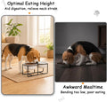 Ceramic Elevated Dog Bowls with Stand - Raised Dog Bowls for Medium Dogs - Double Pet Food and Water Dishes Set with Ant