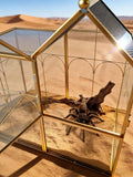 Ready-to-Use Glass Terrarium with Vents - 8.66"x4.72"x8.46" House-Shaped Jumping Spider Enclosure, Habitat for Praying M
