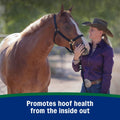 Farnam Horseshoer's Secret Pelleted Hoof & Biotin Supplements, Nutrient-Rich Formula with Amino & Fatty Acids, Omega-3 M