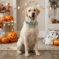 ADOGGYGO Halloween Dog Collar Girl, Bow Ghost Dog Bow Tie Collar, L