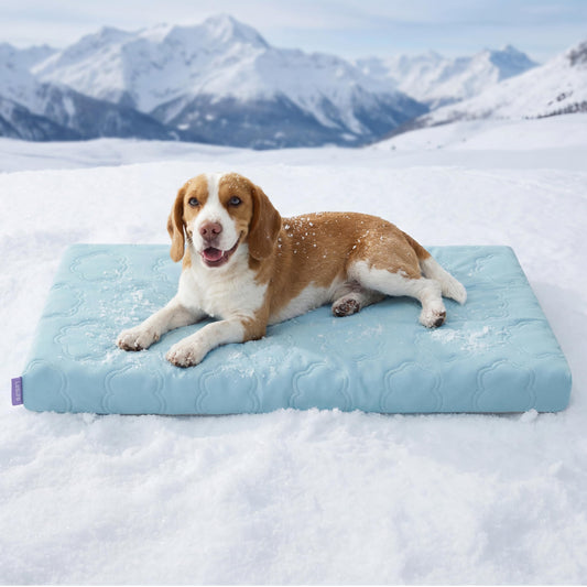 LE SURE Cooling Dog Beds Large Sized Dog, Q-Max>0.5 Cooling Mat with Removable Washable Cover, Breathable Orthopedic Egg Crate Foam Non-Slip Summer Pad for Active/Senior/Long-Haired Pets, 35x22 Inch
