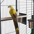 Panana Large Bird Cages Parrot Cage Wide Flight Metal Animal Cage for Budgie Parakeet Conure with Rolling Stand Wheels (