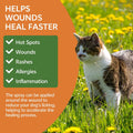 Cat Deterrent Spray, Natural No Scratch Spray for Cats, 6.76 OZ
