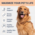 Beef Bone Broth for Dogs. High Protein Human Grade Food Topper Unflavored
