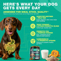 CHEWIA Probiotics for Dogs – Probiotic Chews for Yeast Balance, Gut Health, Itchy Skin & Diarrhea Relief – with Digestive Enzymes, Prebiotic FOS & Pumpkin – Dog Probiotics for Puppies & Adults