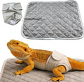Bearded Dragon Diaper Accessories with Reusable Pad, Adjustable Wearable for Short Handling and Travel, Bearded Dragon A
