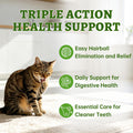 Just Try 500g Cat Grass Sticks,Cat Grass Treats for Teeth Cleaning Hairball