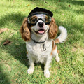 Enjoying Clear Dog Goggles Small Breed, UV Protection Sunglasses for Small Dogs, Windproof Anti-fogging, Puppy Eye Prote