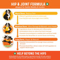 Bernie's Healthy Hips, Hip and Joint Supplement for Dogs, 90 Ct Soft Chews