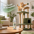 Catnip Spray for Cats, 2nd Generation, Toys & Scratchers, 1.69 fl oz