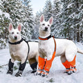 Dog Suspender Boots, Anti-Slip & Fall Waterproof Dog Shoes Leggings, Dog Paw Protector for Small Medium Dogs, Adjustable