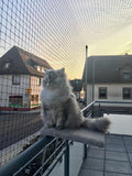 Cat Netting Balcony 10 * 13ft Pet Mesh Fence for Balcony Black Nylon Balcony Netting for Pets Anti-Fall Cat Net for Balc