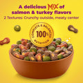 Meow Mix Tender Centers, Dry Food, Salmon & Turkey Flavors, 14.2 lb. Bag