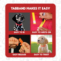 TabBand Max Premium Pet ID Collars - 20 Inch - 500 Count - Yellow - Waterproof, Writable, Tear-Resistant Identification Bands with Easy Release for Vets, Shelters, and Boarding Facilities.