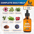 Cat Antibiotic Respiratory Support During Cough & Allergies