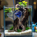 3 Aquarium Fish Net Fine Mesh Quick Catch Skimmer 4/5/6 Inch Blue