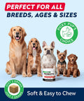 STRELLALAB Probiotics for Dogs Chews for Digestive Health & Gut Support