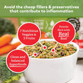 Dr. Harvey's Beef & Garden Veggies Dog Food, Grain-Free (5 lb)